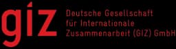 GIZ logo